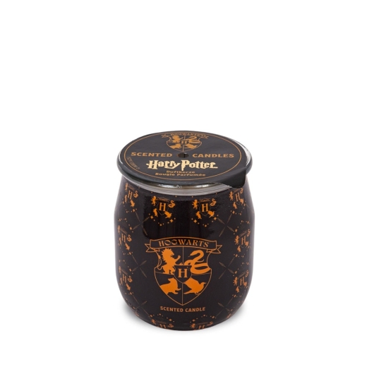 Duft-Kerzenglas „Harry Potter“