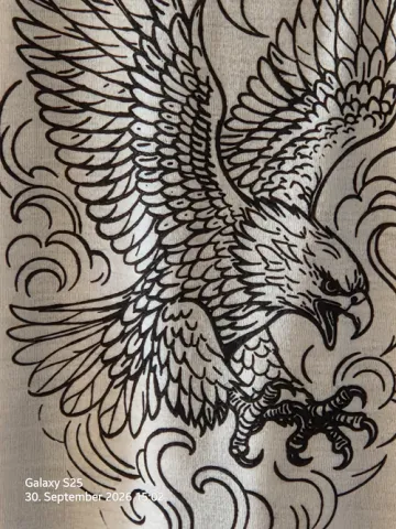 T-Shirt Adler Motiv mit hochwertigem Siebdruck | Größe 2XL